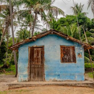 Rustic blue house with palm trees in the background 1