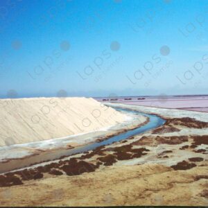Salt landscape in the Camargue Park