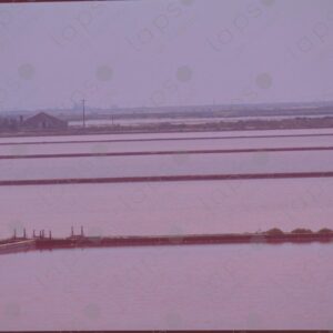 Salt pools in the Camargue Park 1