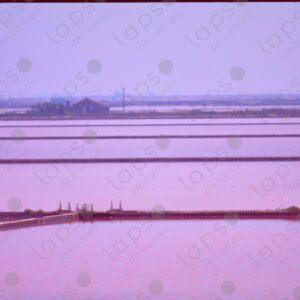 Salt pools in the Camargue Park 6