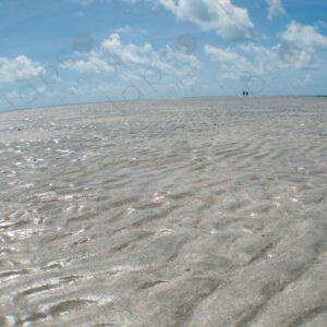 Sand exposed at low tide