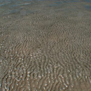 Sand exposed at low tide 4