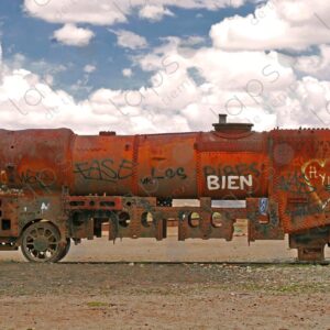 Section of Rusty Train