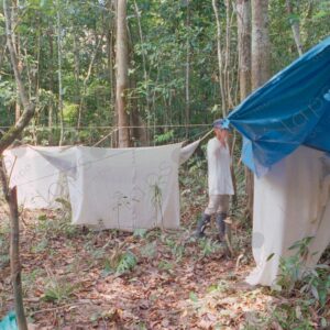 Setting up camp in the jungle
