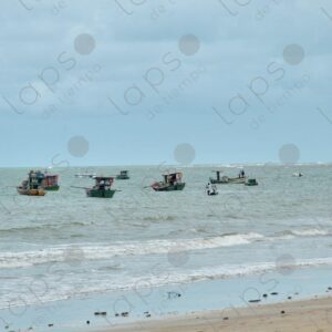 Several artisanal fishing boats in sea