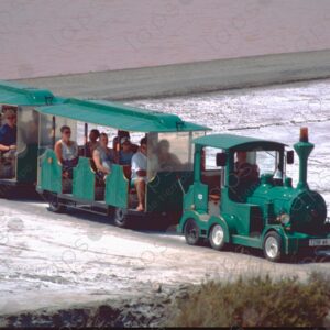Small train with tourists in the Camargue Park