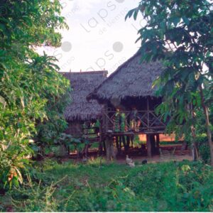 Stilt house in Sinchicuy