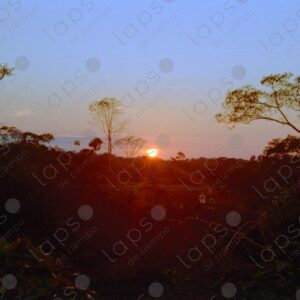 Sunset in the jungle 3