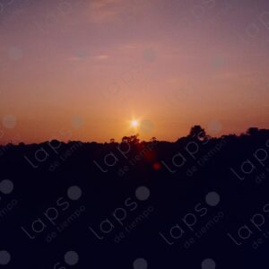 Sunset landscape in the jungle 2