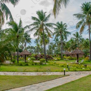 Tropical gardens at the resort