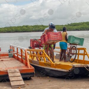 Two barges on the riverbank