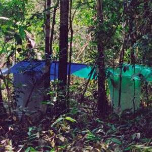 Two mosquito nets inside the jungle