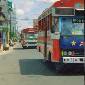 Two public buses on the street