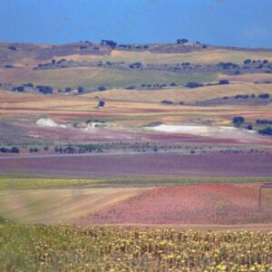 View of sunflower fields in southern Spain from train 2