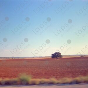 View of the fields on the way to southern Spain from the train