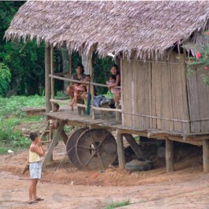 Women look out from their Amazonian homes