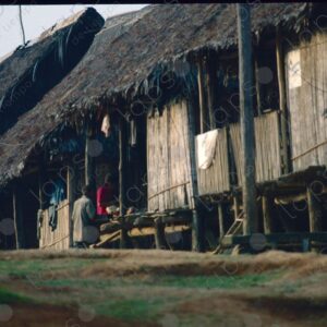 Wooden houses with palm roofs