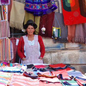 Indigenous woman in her sales position 1