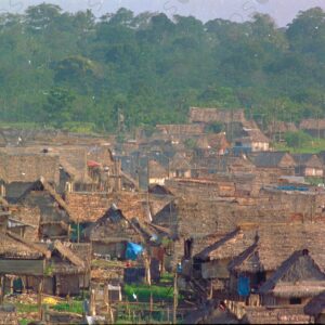 Telephoto lens, palm roofs in the Belen neighborhood