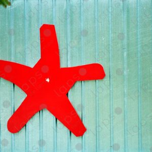 Red star symbol