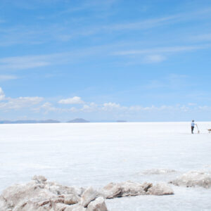 Alone Man with Shovel and Wheelbarrow in Salar de Uyuni 2