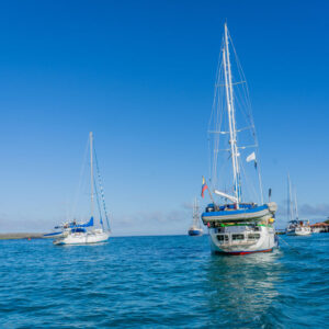 boats and sailboats at sea santa cruz galapagos