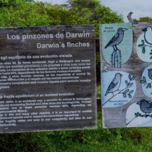 darwin finches sign