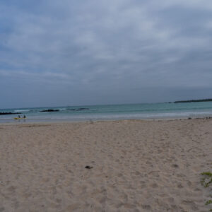 el garrapatero beach santa cruz galapagos 4