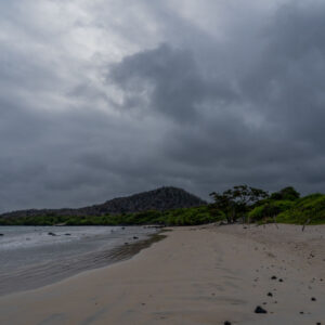 el garrapatero beach santa cruz galapagos 6