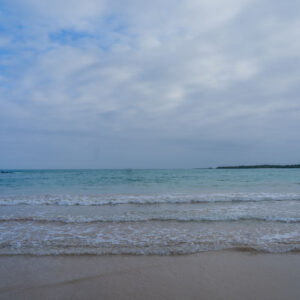 el garrapatero beach santa cruz galapagos 8