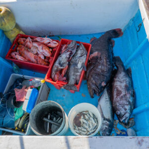 fishing inside the boat