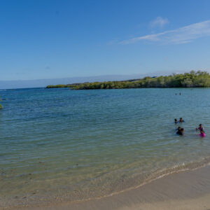 german beach scene santa cruz galapagos 1