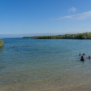 german beach scene santa cruz galapagos 2