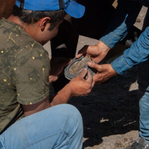 horseshoeing detail fitting the horseshoe to the horses hoof 2