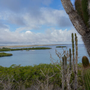 landscape from lookout santa cruz galapagos 1