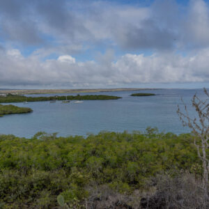 landscape from lookout santa cruz galapagos 2