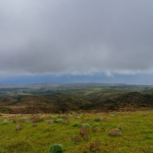 landscape from summit toward the sea