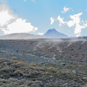 landscape sheep flock and muleteers