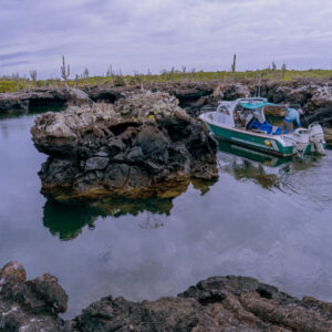 lava caves lagoons and opuntia pad isabela island galapagos 1