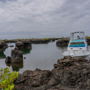 lava caves lagoons and opuntia pad isabela island galapagos 2