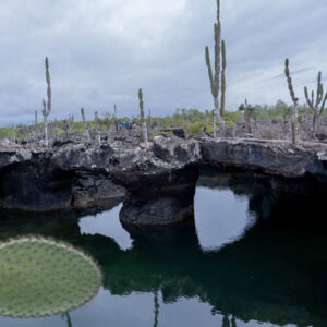lava caves with boat in lagoon isabela island galapagos 2