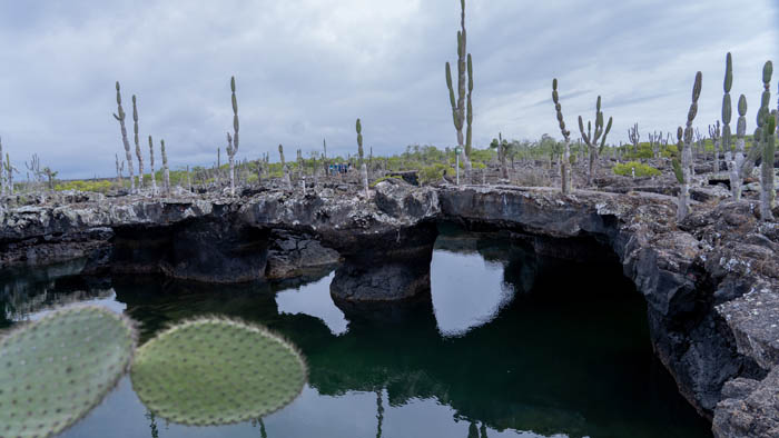 lava caves with boat in lagoon isabela island galapagos 2