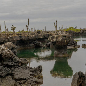 lava rocks and lagoons isabela island galapagos