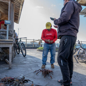 lobster sale at the pier 6
