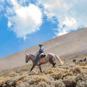 muleteer on the hillside