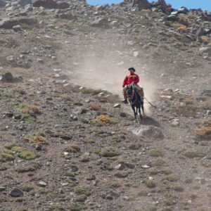 muleteer riding down the hill