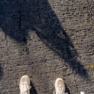 my sneakers