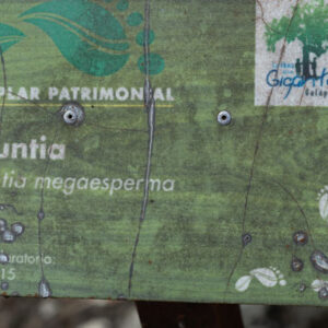 opuntia sign san cristobal island galapagos