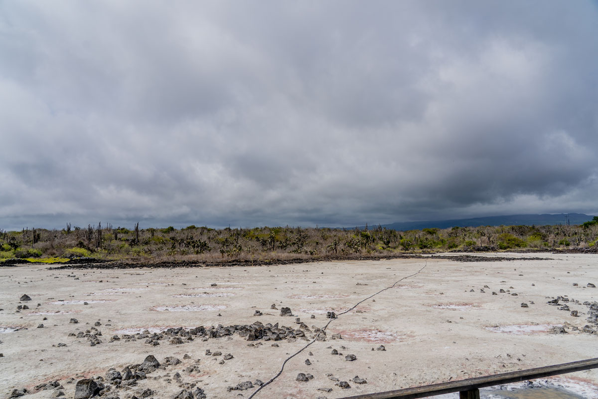 path to las grietas by salt flat santa cruz galapagos