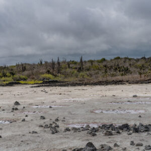 path to las grietas santa cruz galapagos